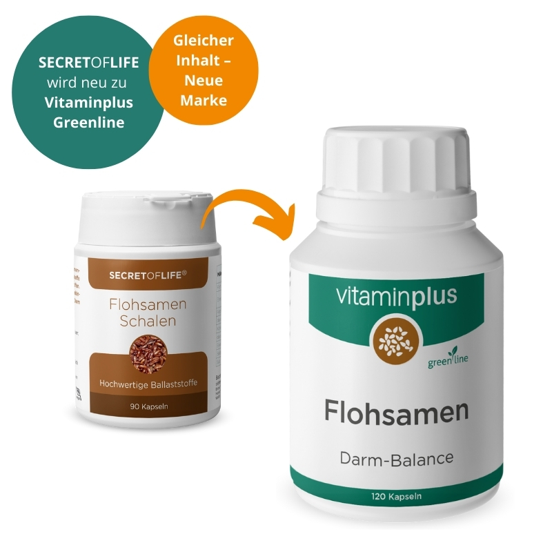 Vitaminplus Flohsamenschalen Kapseln 120 Stück