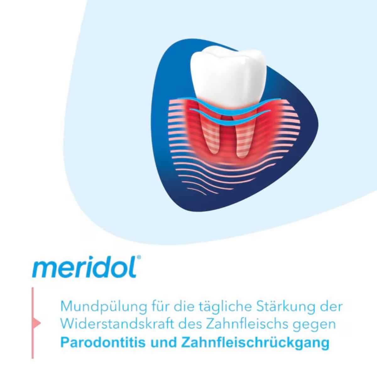 Meridol Paradont Expert Mundspülung Fl 400 ml