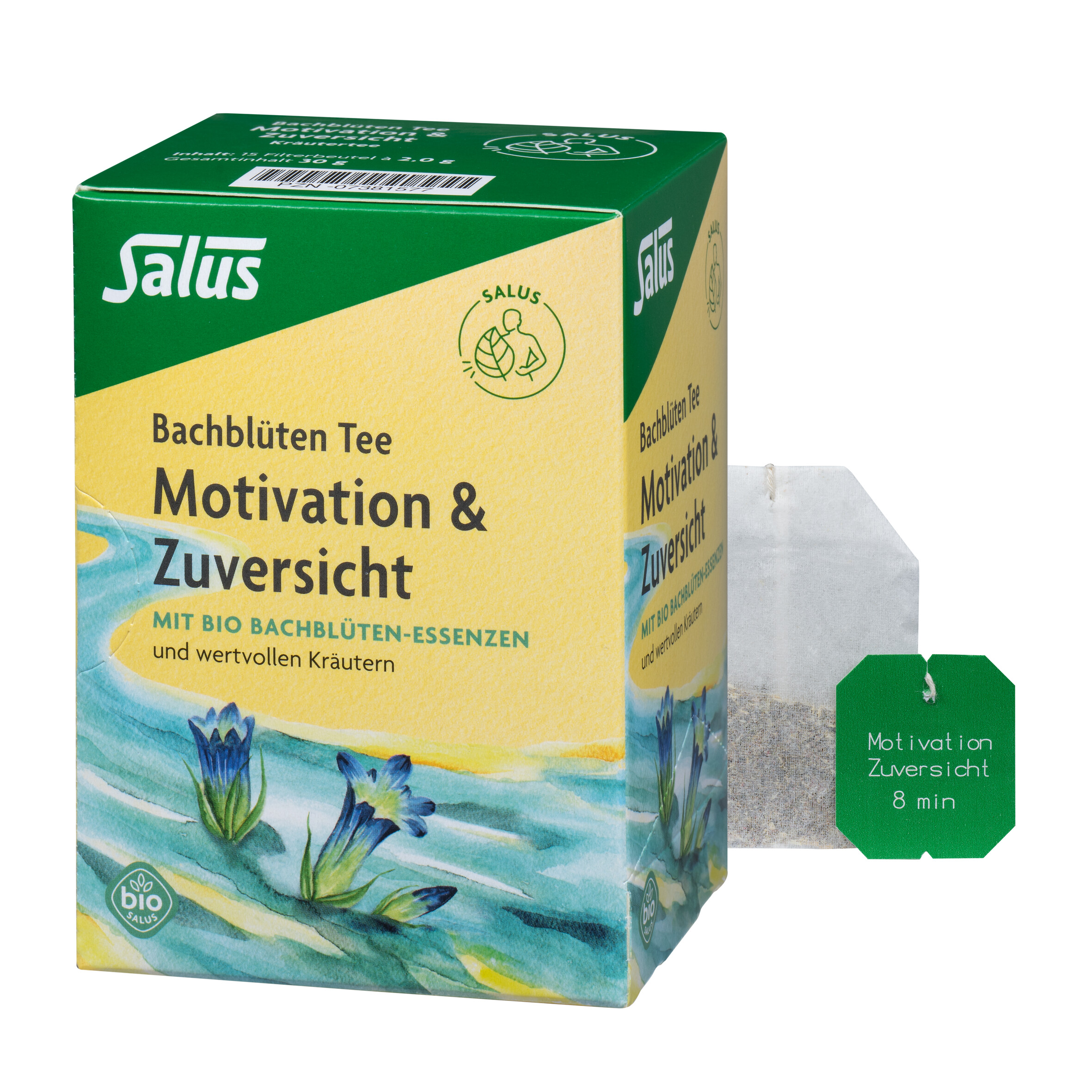 Salus Bachblüten Tee Motivation & Zuversicht Bio 15 Beutel