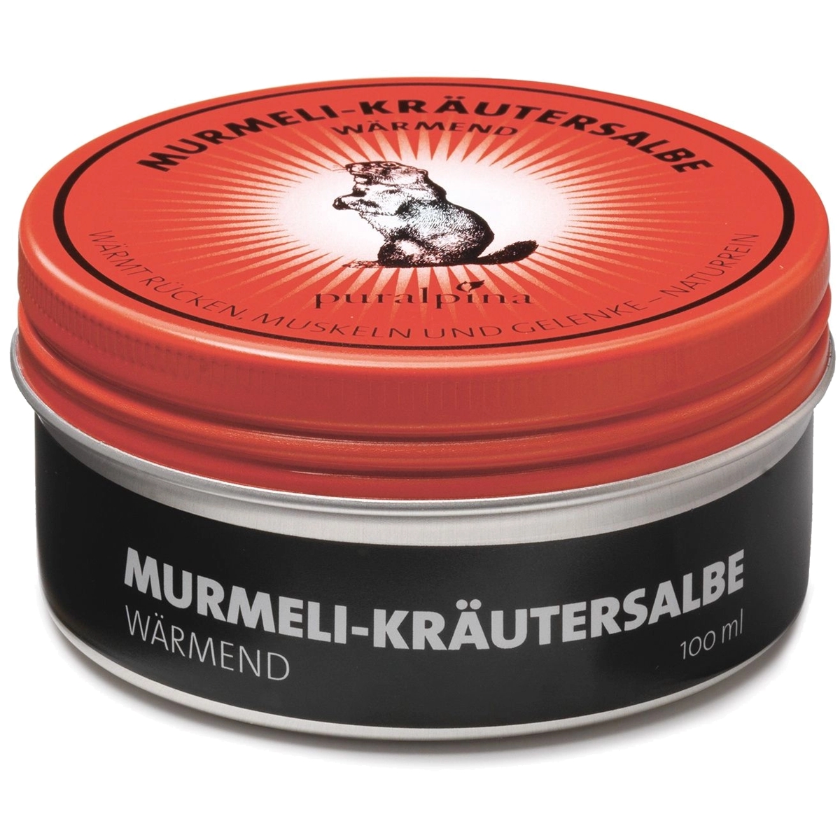 PURALPINA Murmeli-Kräutersalbe wärmend 100 ml