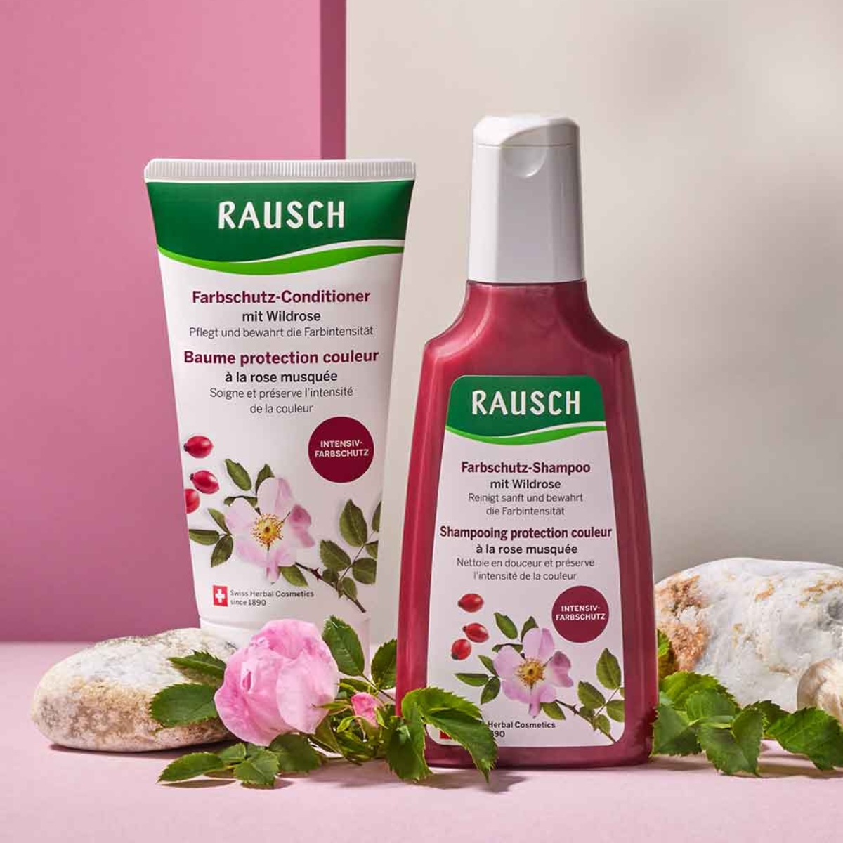 Rausch Farbschutz-Shampoo mit Wildrose 200 ml