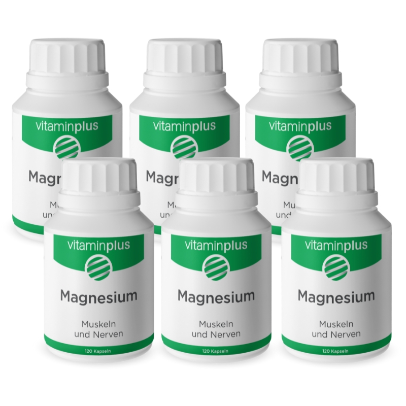 Vitaminplus Magnesium Kapseln 6x 120 Stück