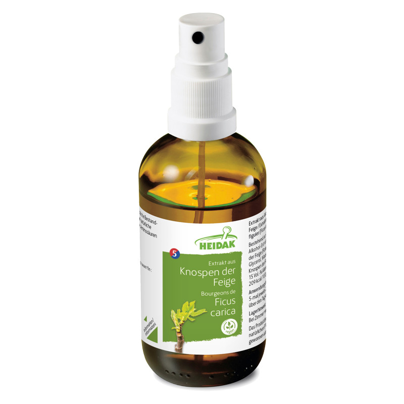 Heidak Knospe Feige Ficus carica Flasche 30 ml