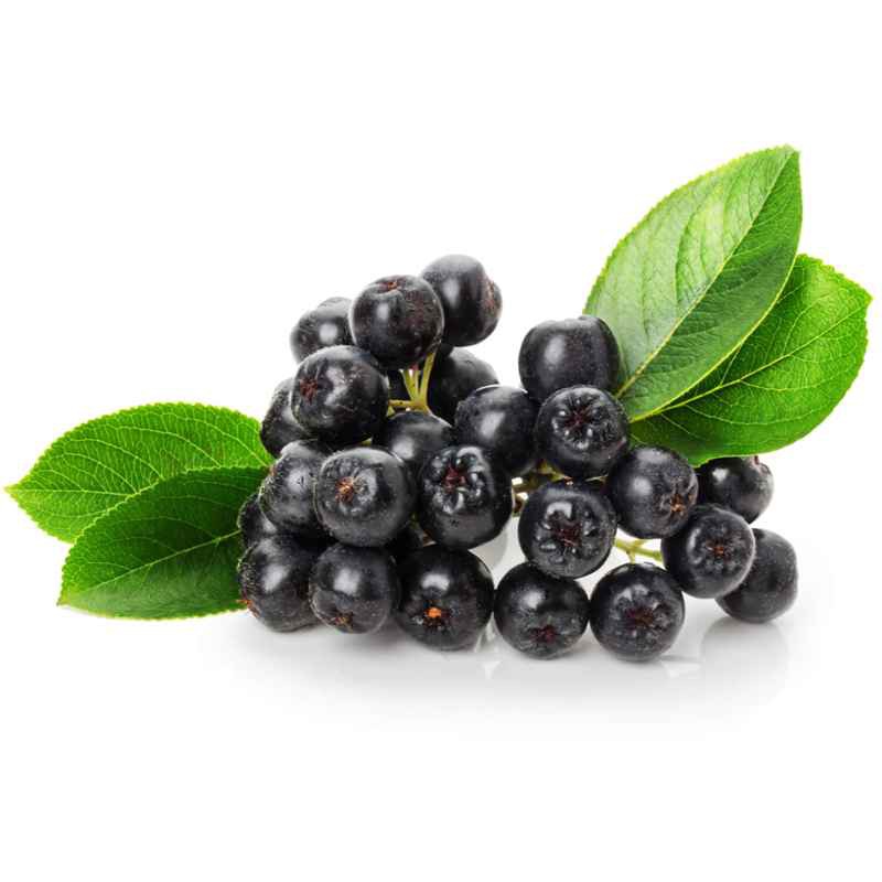 Kingnature Aronia Schokolade 100 g