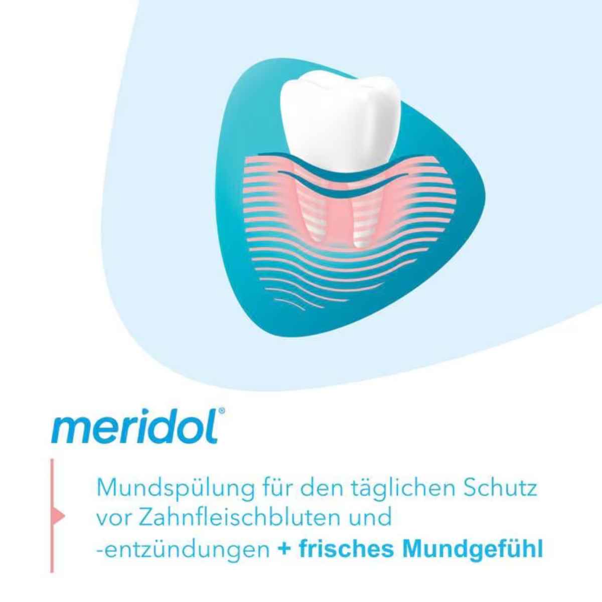 Meridol Mundspülung Fl 100 ml