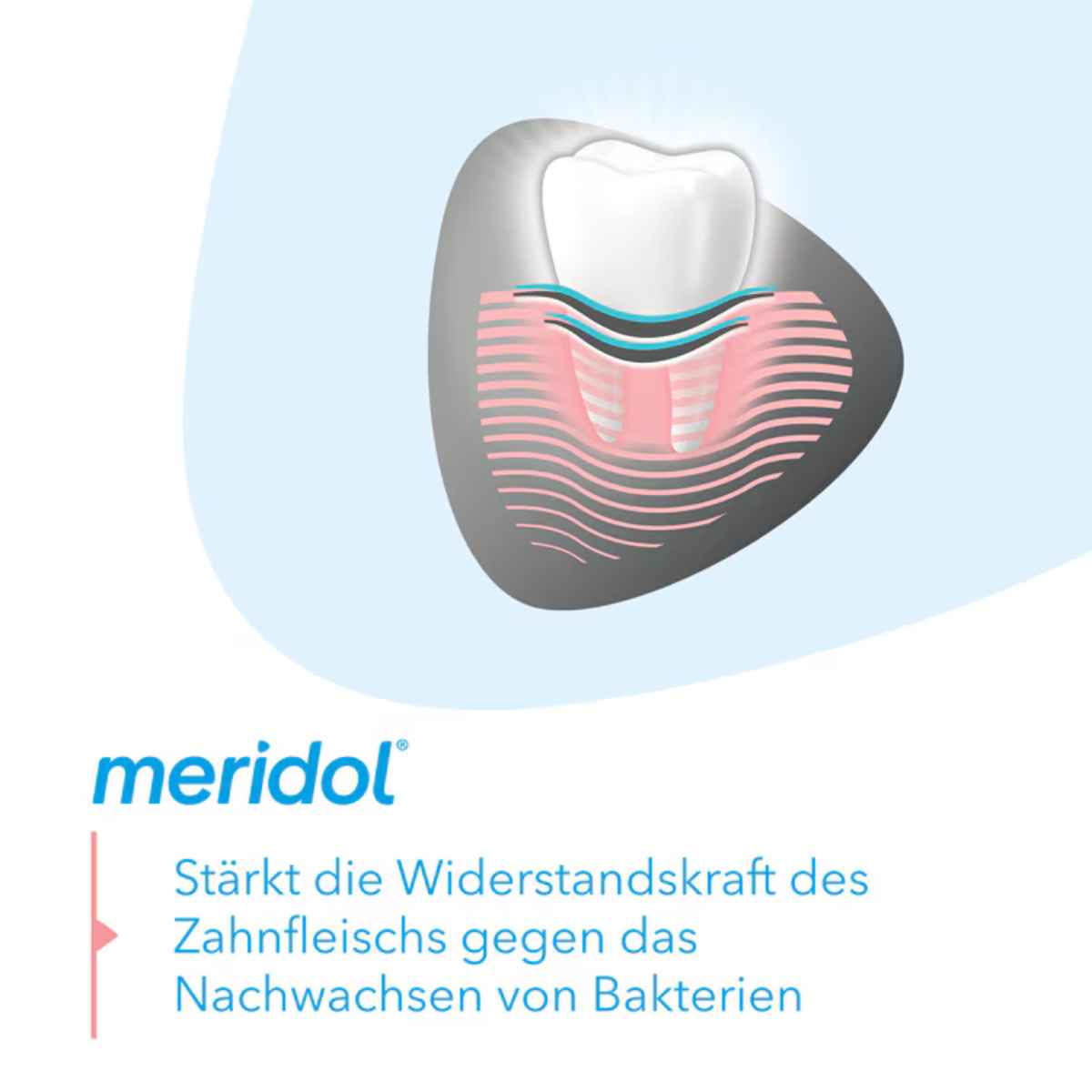 Meridol Sanftes Weiss Zahnpasta Tb 75 ml