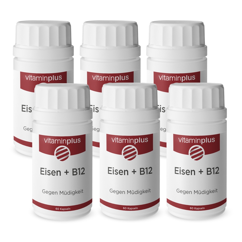 Vitaminplus Eisen 21 mg + Vitamin B12 vegan Kapseln 6x 60 Stück