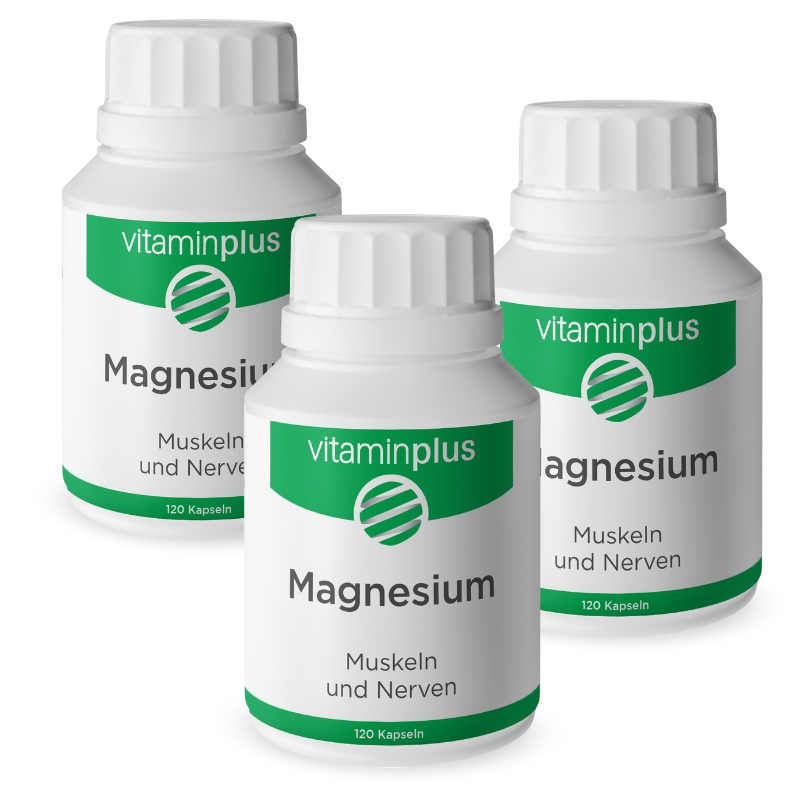 Vitaminplus Magnesium Kapseln 3x 120 Stück