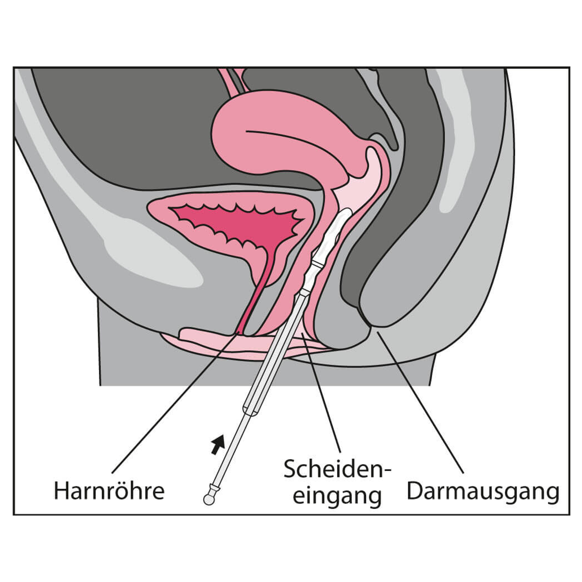 Vagisan Feuchtcreme Tube