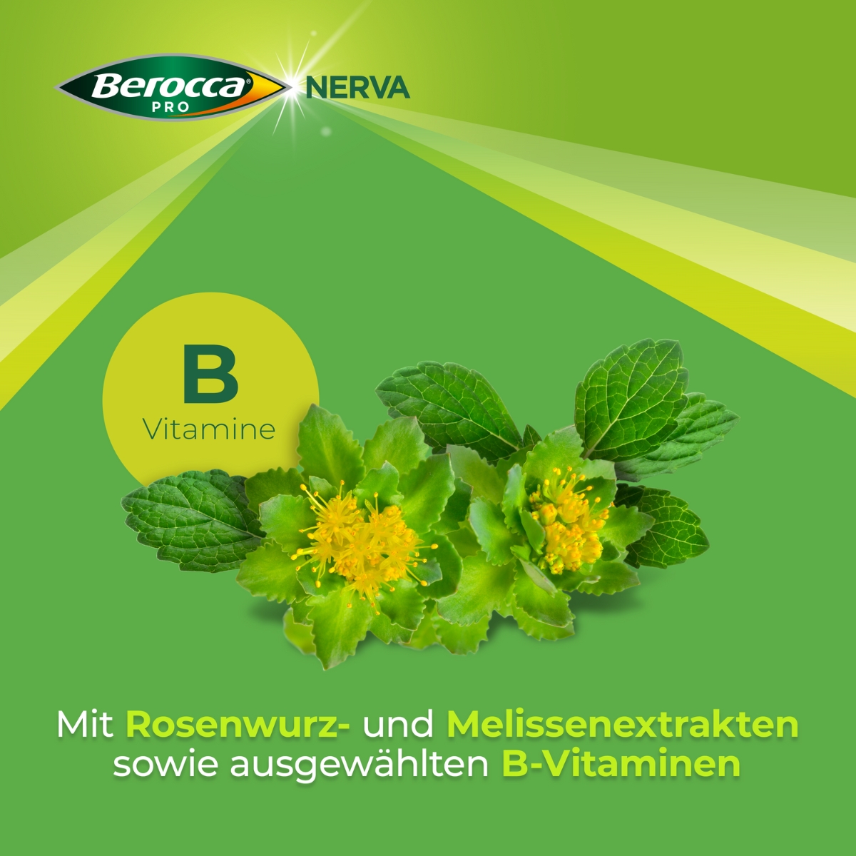 Berocca Pro Nerva Brausegranulat 40 Stück