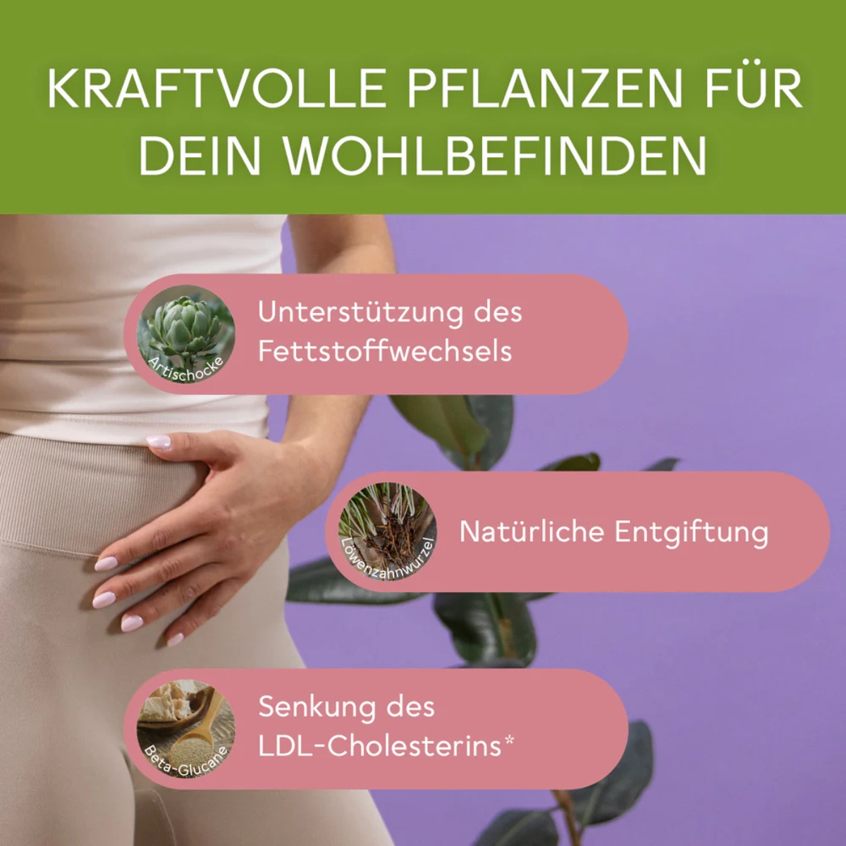 Bitterliebe Cholesterin Komplex Kapseln 120 Stück