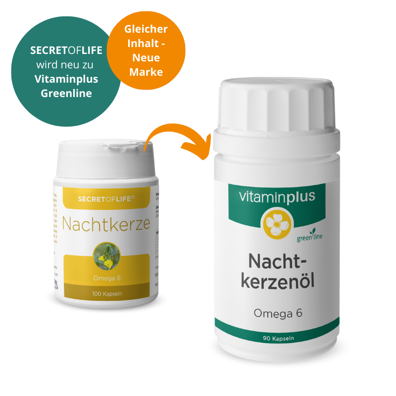 Vitaminplus Nachtkerzenöl Kapseln 500 mg 90 Stück