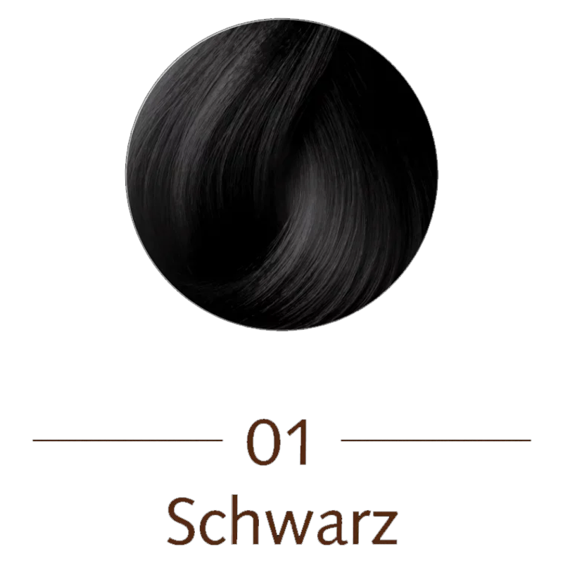 Sanotint Haarfarbe 01 schwarz